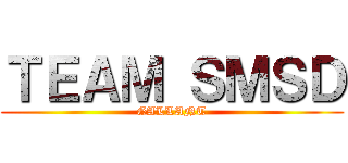 ＴＥＡＭ ＳＭＳＤ (GALLANT)