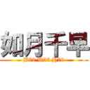 如月千早 (B72 W55 H78)