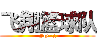 飞翔篮球队 (Flying)