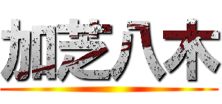 加芝八木 ()