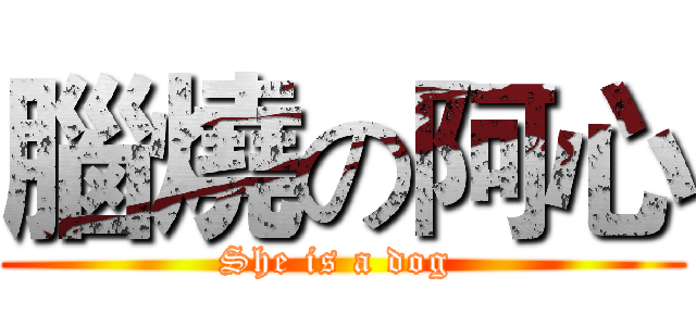 腦燒の阿心 (She is a dog )