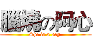 腦燒の阿心 (She is a dog )