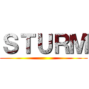 ＳＴＵＲＭ ()