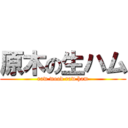 原木の生ハム (raw wood raw ham)