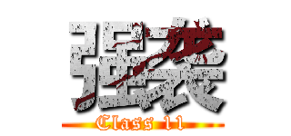 强袭 (Class 11)