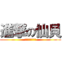 進撃の仙貝 (蠢豬、赤子、純子)