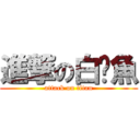 進撃の白鯧魚 (attack on titan)