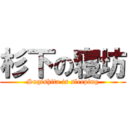 杉下の寝坊 (Sugishita is sleeping)