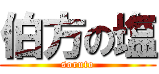 伯方の塩 (soruto)