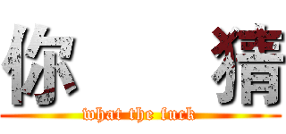 你       猜 (what the fuck)
