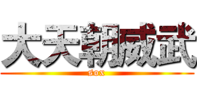 大天朝威武 (sox)