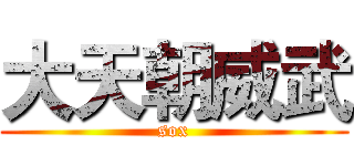 大天朝威武 (sox)