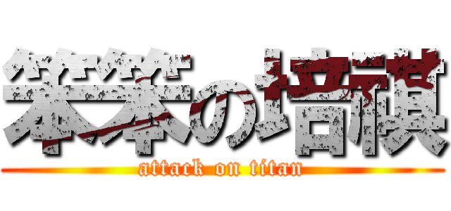笨笨の培祺 (attack on titan)