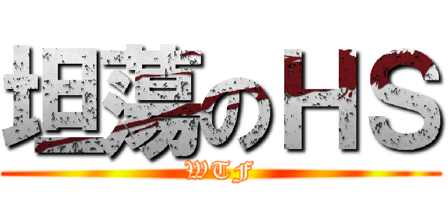 坦蕩のＨＳ (WTF)