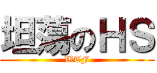 坦蕩のＨＳ (WTF)