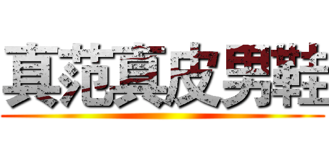 真范真皮男鞋 ()