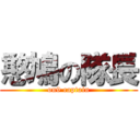 憨鳩の隊長 (on9 captain)