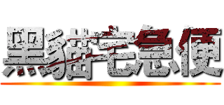 黑貓宅急便 ()