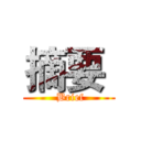 摘要  ( Brief)
