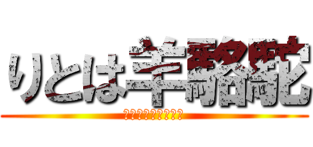 りとは羊駱駝 (つまりりとは羊駱駝)