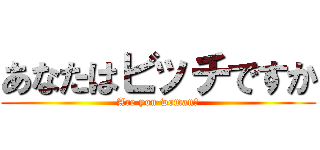 あなたはビッチですか (Are you woman?)