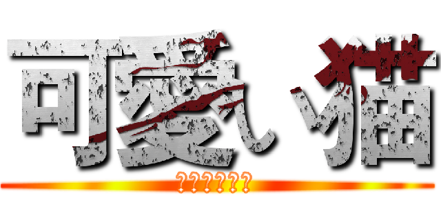 可愛い猫 (あたしわねこ)