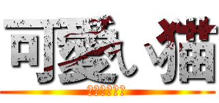 可愛い猫 (あたしわねこ)