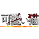 可愛い猫 (あたしわねこ)