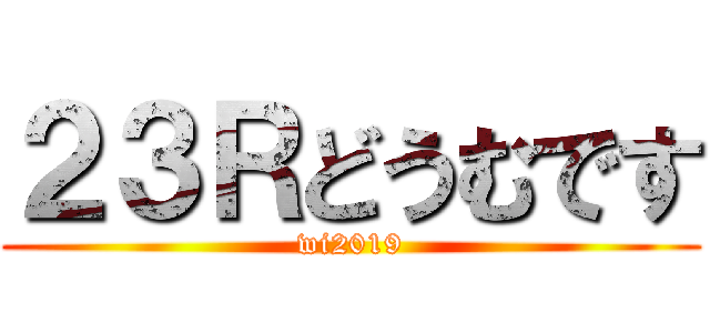 ２３Ｒどうむです (wi2019)