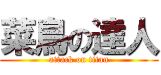 菜鳥の達人 (attack on titan)