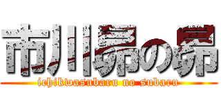 市川昴の昴 (ichikwasubaru no subaru)