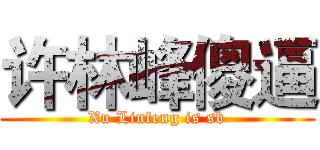 许林峰傻逼 (Xu Linfeng is sb)