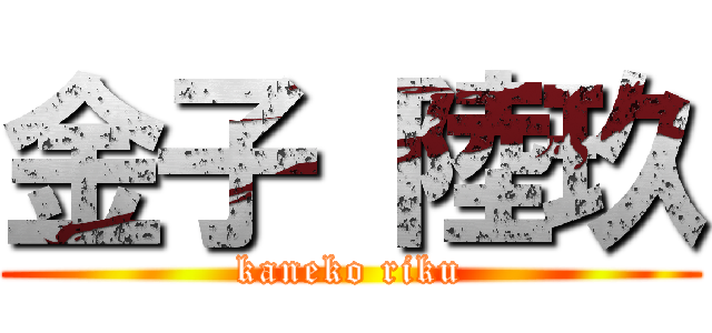 金子 陸玖 (kaneko riku)