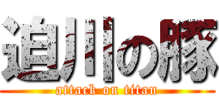 迫川の豚 (attack on titan)