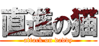 直進の猫 (attack on daddy)