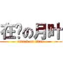 在线の月叶 (attack on titan)