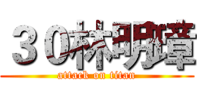 ３０林明璋 (attack on titan)