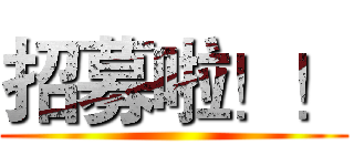 招募啦！！ ()