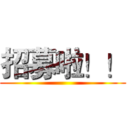 招募啦！！ ()