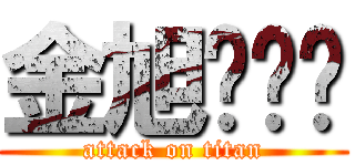 金旭辉屌丝 (attack on titan)