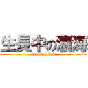 生長中の瀏海 (Growing hair)