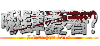 啾肆愛著你 (I love you 1314)