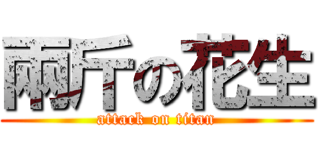 兩斤の花生 (attack on titan)