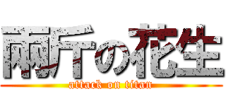 兩斤の花生 (attack on titan)