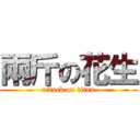 兩斤の花生 (attack on titan)