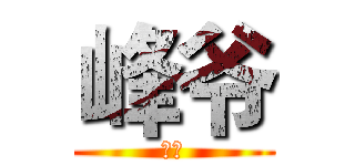 峰爷 (等爷)
