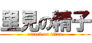里見の精子 (attack on titan)