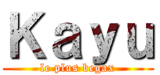 Ｋａｙｕ (le plus begax)
