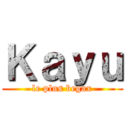 Ｋａｙｕ (le plus begax)