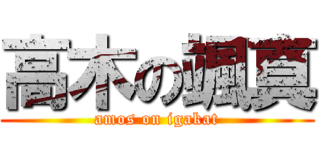 高木の颯真 (amos on igakat)